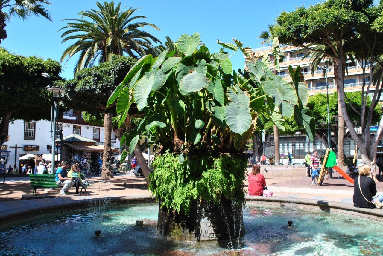 Durazno Tropical Apartment Puerto De La Cruz Buitenkant foto